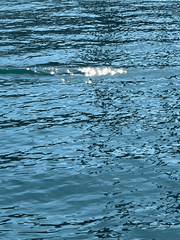 시험이 한 달 남았는데요, 탈공시 준비 중입니다.