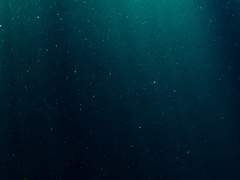 [센루] 너와 나의 바다 - 4