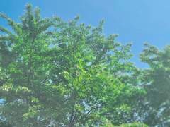 [볼트새미] 첫키스는 초여름맛