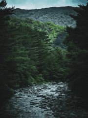 이상한거이것저것