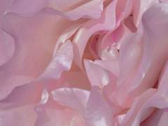 [지혁지현] 그 애는 자꾸만 거짓말을 해