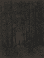 몽환의 숲 - 오하라 본 이오셰프카