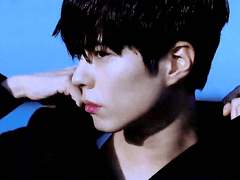 牽牛織女, 牽牛