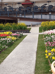 프로세카 단편 소설 모음