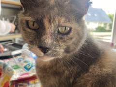 [린다] 5.12 금 | 친구 사귀기가 이렇게 어려웠나요?