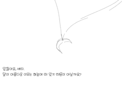 온화한 달빛 아래