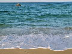 [리오루시] 스물아홉