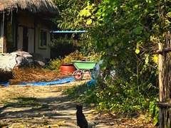 아름다운 일상이기를