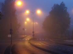 푸른새벽의 그 길