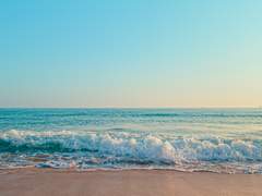 [지우서준] 톱스타와 톱스타의 결혼