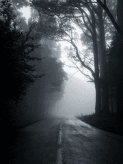 [세준] 열정페이 슈퍼마켓