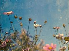 [고죠우타] 06. 싸릿닢에 맺힌 이슬처럼 짧은 삶일까