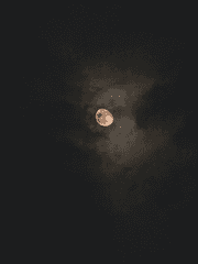 언제나 최선을 다했을 뿐이다.