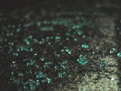 그리고 그곳에 사랑이 있었다.