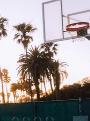 데케이드 피처링 드림