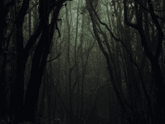 Fear and Fever 3(열과 두려움)