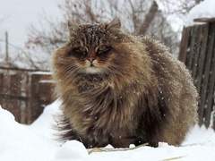 “ My Mean Love. ”