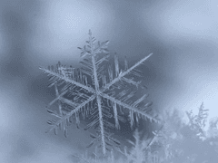 친애하는 나의 上