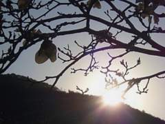 딱딱하고도 말랑말랑한