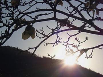 딱딱하고도 말랑말랑한