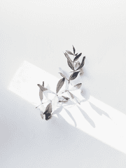 주술회전X도쿄리벤저스