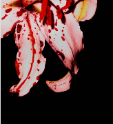 뱀파이어 날달 AU