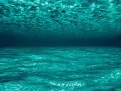 스키다요 메론소다 外 5편