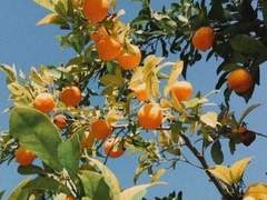 손아귀에 쥐여진 것은