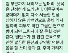 이신×한 커미션