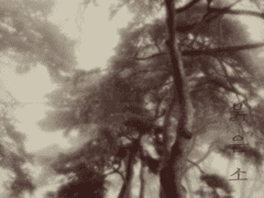 붉은 소나무 ep.00