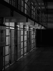 양치기 소년 리턴즈