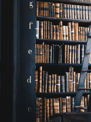 설령 내가 너를 사랑했더라도,