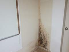 Step6. 좋은 집이 무엇인지 모르겠다. (2)