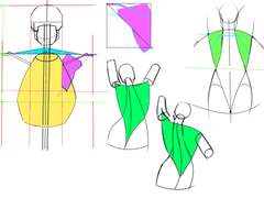 2023년 5월 13일 (토) <해부학>