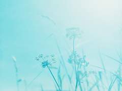 [고죠우타] 07. 졸며 앉아서 내 안으로 잦아드네, 한겨울 칩거