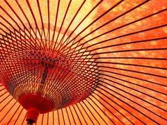 長沼 正武_ 不明_ 唐傘