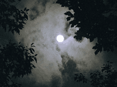 [1화] 내가 그쪽이 말하는 늑대 괴물인 것 같은데?