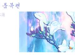 송백금룡 :: 여름목련