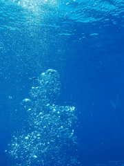 마요 망상모음집(단편)