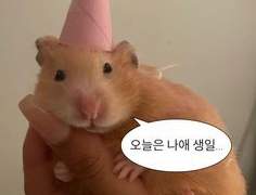 주술회전 I 샹.. 친구가 쓴 드림에 들어옴;; 10