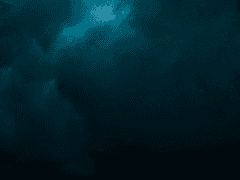 요괴 - 가인 :: profile