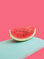 청춘번호 #2023313