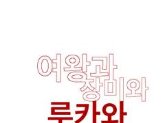 센루/ 여왕과 장미와 루카와