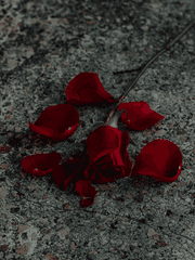 Victimae Paschali Laudes