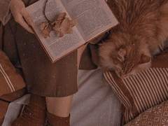 𝓣𝓲 𝓐𝓶𝓸