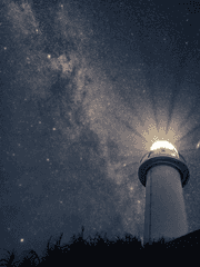 아이비스 폴 엔티크