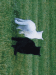 The rain is picking up