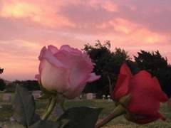 [도기고은]하트를 주세요!