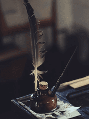 그 새 요괴가 보내는 일상과 비일상