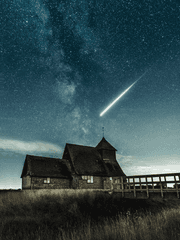 한지붕 아래 이상한 식구들